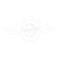 Partytown logo